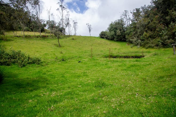 Lote en venta en El Salitre, La Calera, 20000 m² · foto 16 de 23
