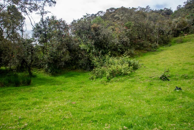 Lote en venta en El Salitre, La Calera, 20000 m² · foto 17 de 23