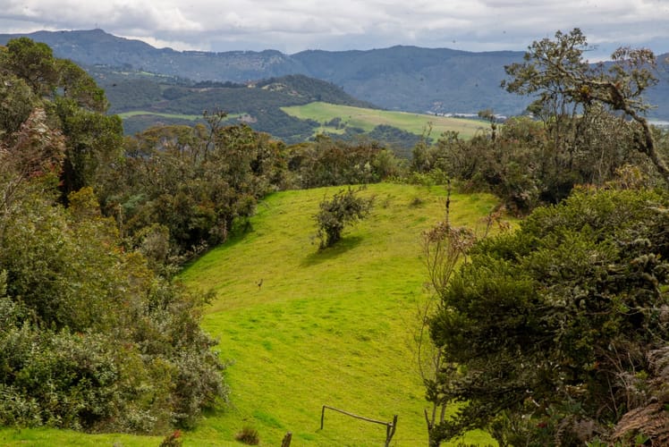 Lote en venta en El Salitre, La Calera, 20000 m² · foto 18 de 23