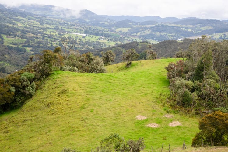 Lote en venta en El Salitre, La Calera, 20000 m² · foto 19 de 23