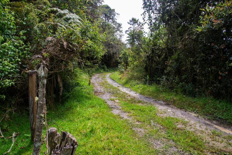Lote en venta en El Salitre, La Calera, 20000 m² · foto 20 de 23