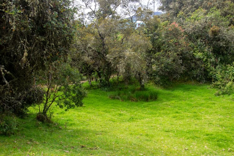 Lote en venta en El Salitre, La Calera, 20000 m² · foto 21 de 23