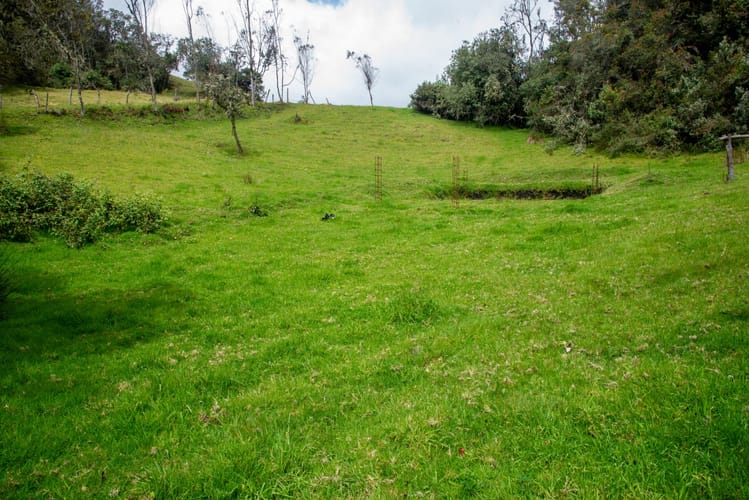 Lote en venta en El Salitre, La Calera, 20000 m² · foto 22 de 23