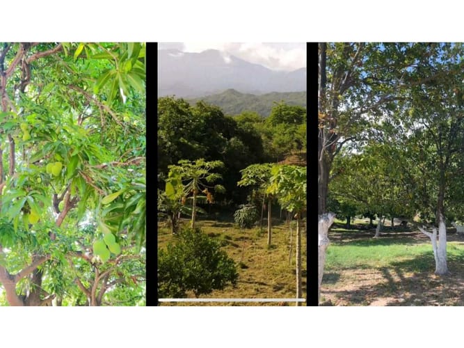 Lote en venta en Bonda Sector Masinga, Santa Marta, 2000 m² · foto 4 de 10