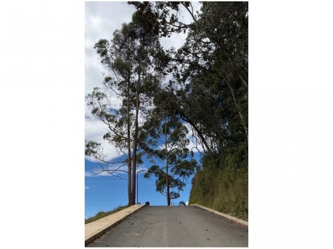 Lote en venta en Pantanillo, El Retiro, 2596 m² · foto 4 de 11