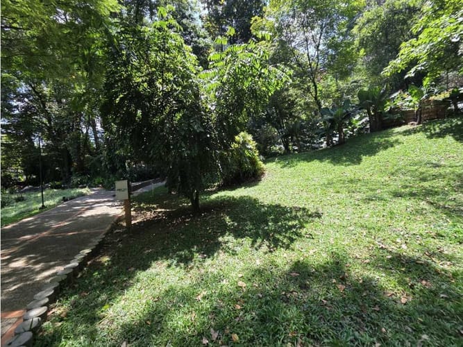 Apartamento de 3 alcobas en venta en Los Balsos, Medellín, 240 m² · foto 22 de 22