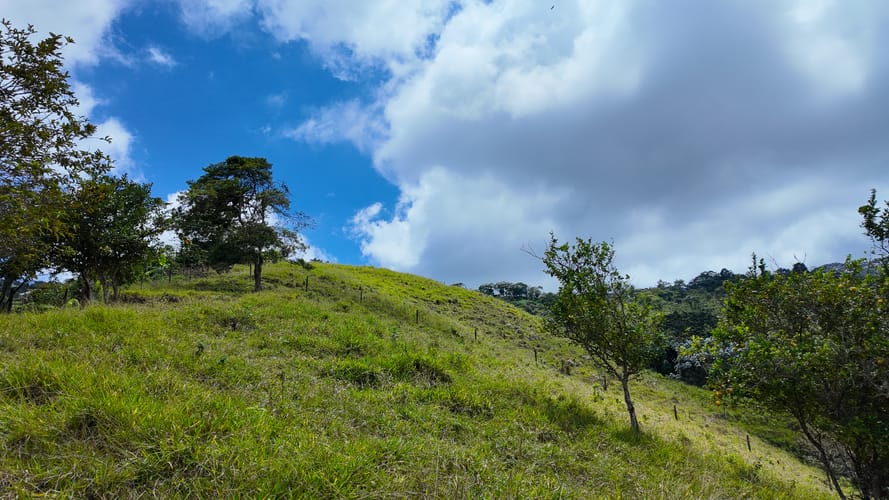 Finca en venta en El Chaquiro, Dosquebradas, 34500 m² · foto 11 de 20