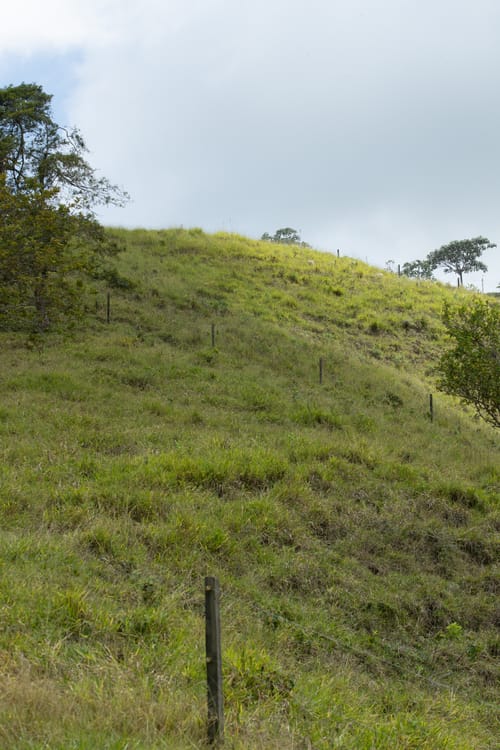 Finca en venta en El Chaquiro, Dosquebradas, 34500 m² · foto 17 de 20