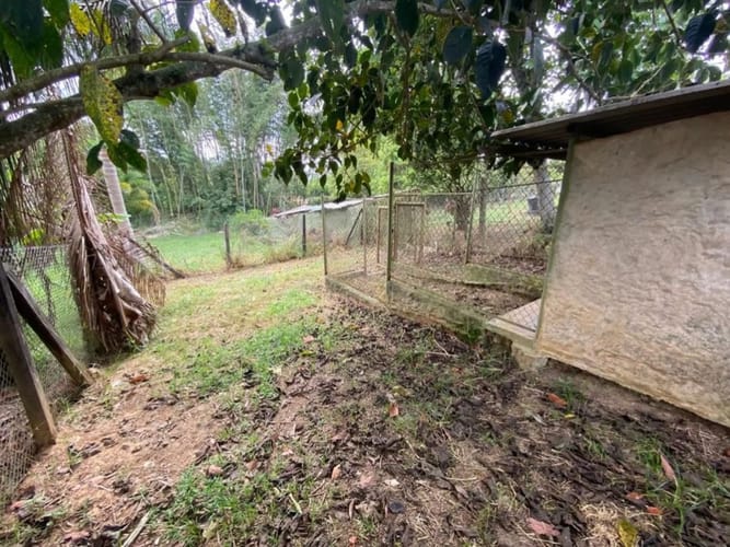 Lote en venta en Ruitoque, Piedecuesta, 1293 m² · foto 12 de 19