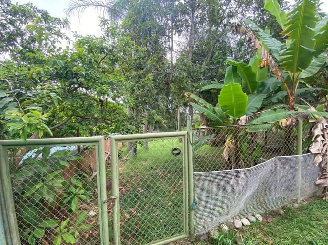 Lote en arriendo en Ruitoque, Piedecuesta, 1293 m² · foto 16 de 19