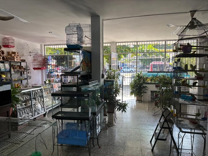 Local en venta en Ciudad Jardin, Barranquilla, 372 m² · foto 3 de 13