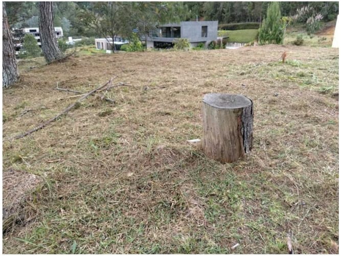 Lote en venta en Las Palmas, Envigado, 1664 m² · foto 2 de 24