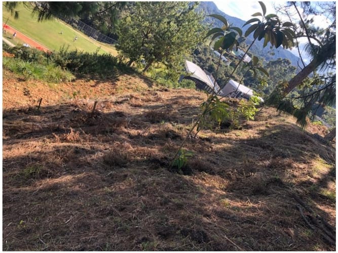 Lote en venta en Las Palmas, Envigado, 1664 m² · foto 11 de 24