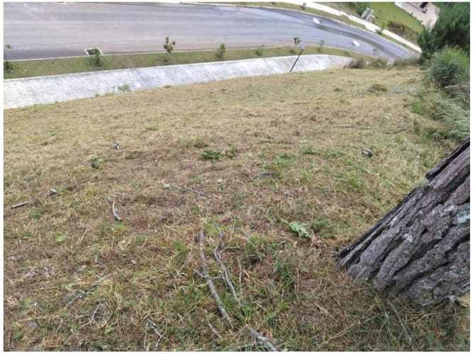 Lote en venta en Las Palmas, Envigado, 1664 m² · foto 14 de 24