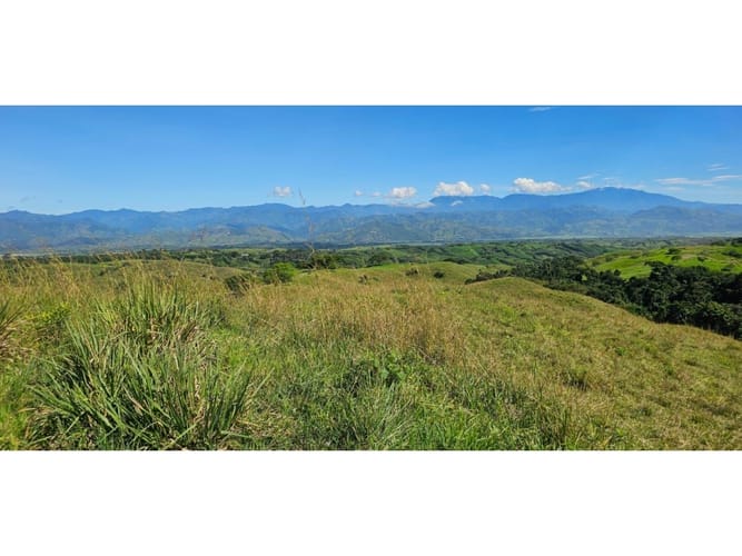 Lote en venta en Cerritos, Pereira, 10055 m² · foto 2 de 5