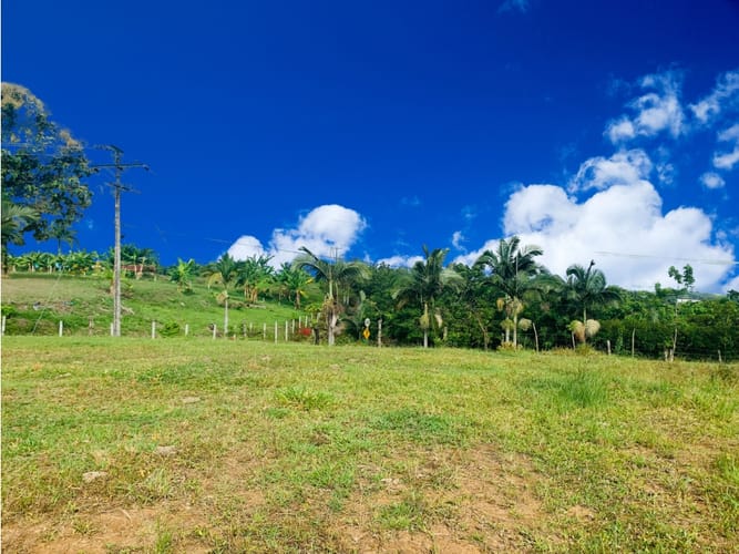 Lote en venta en Cerritos, Pereira, 10055 m² · foto 3 de 5