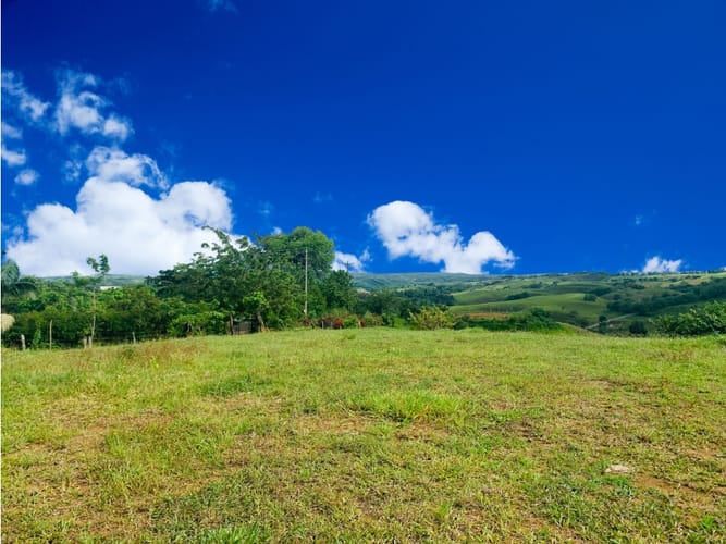 Lote en venta en Cerritos, Pereira, 10055 m² · foto 4 de 5