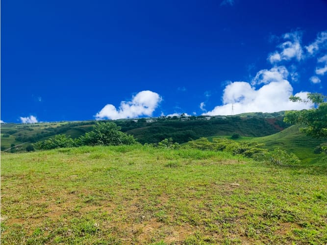 Lote en venta en Cerritos, Pereira, 10055 m² · foto 5 de 5
