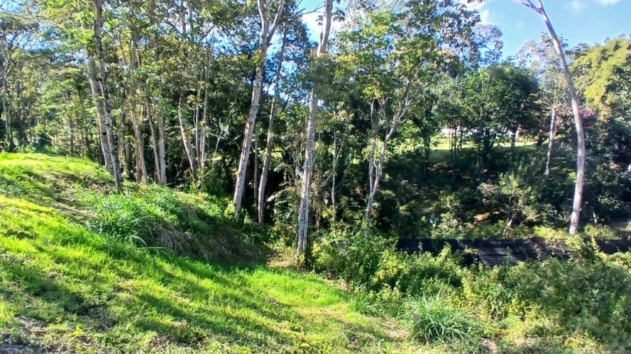 Lote en venta en Centro, Rionegro, 3056 m² · foto 6 de 13
