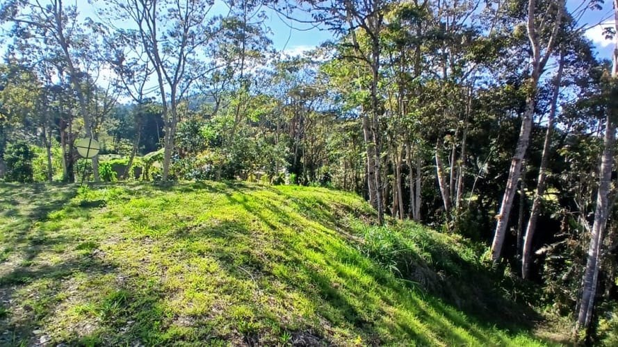 Lote en venta en Centro, Rionegro, 3056 m² · foto 9 de 13