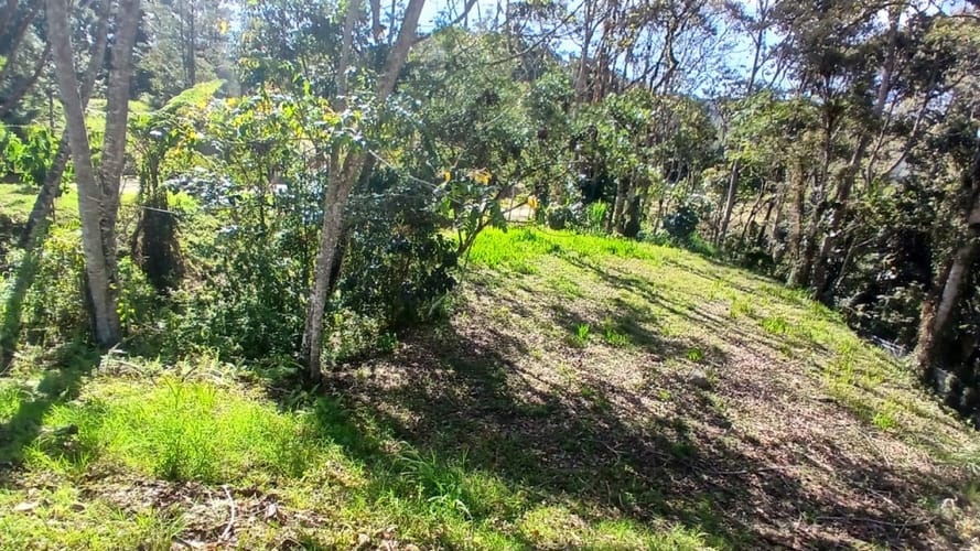 Lote en venta en Centro, Rionegro, 3056 m² · foto 10 de 13