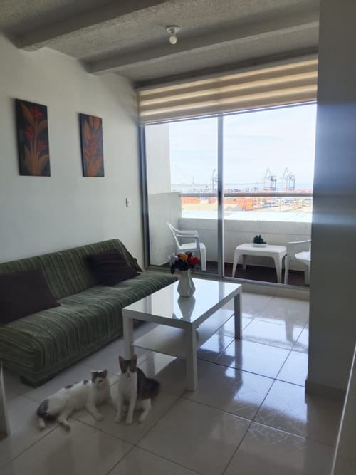 Apartamento de 2 alcobas en arriendo en El Campestre, Cartagena, 53 m² · foto 4 de 19