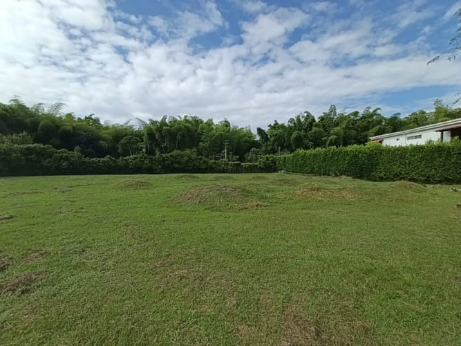 Lote en venta en Alfaguara, Jamundí, 1623 m² · foto 5 de 20