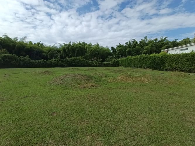 Lote en venta en Alfaguara, Jamundí, 1623 m² · foto 7 de 20