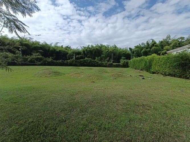 Lote en venta en Alfaguara, Jamundí, 1623 m² · foto 8 de 20