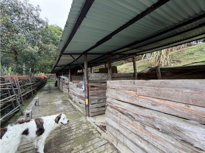 Casa de 4 alcobas en venta en Pantanillo, El Retiro, 830 m² · foto 6 de 24