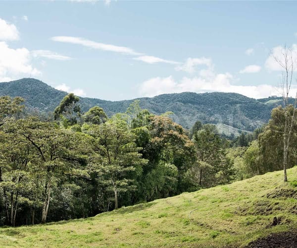 Lote en venta en La Ceja, 1664 m² · foto 2 de 19