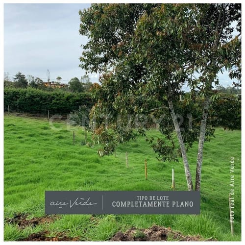 Lote en venta en La Ceja, 1664 m² · foto 5 de 19