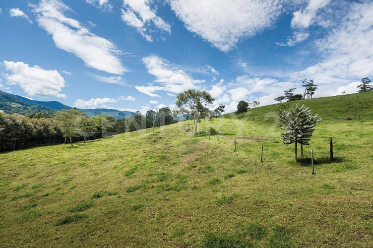 Lote en venta en La Ceja, 1664 m² · foto 9 de 19