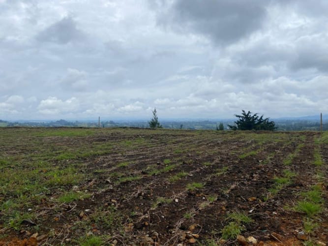 Lote en venta en Pontezuela, Rionegro, 1200 m² · foto 3 de 10