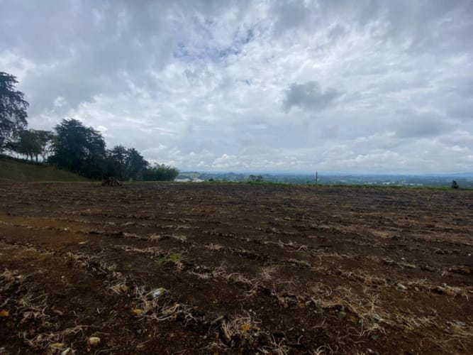 Lote en venta en Pontezuela, Rionegro, 1200 m² · foto 8 de 10