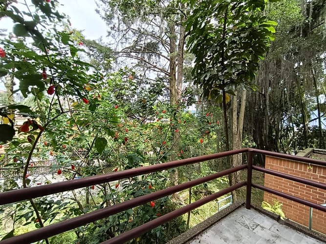 Apartamento de 1 alcoba en arriendo en El Poblado, Medellín, 75 m² · foto 7 de 20