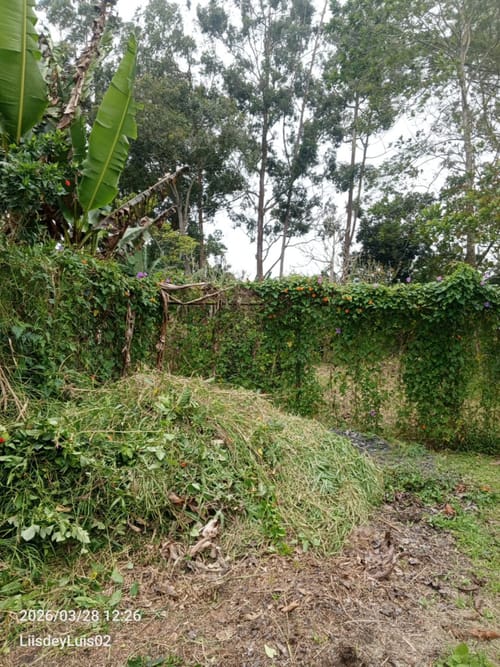 Lote en venta en San Miguel, Piedecuesta, 2632 m² · foto 2 de 9