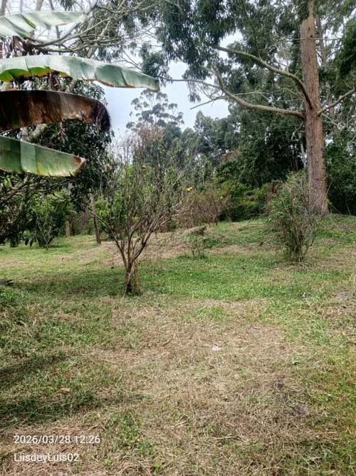 Lote en venta en San Miguel, Piedecuesta, 2632 m² · foto 5 de 9