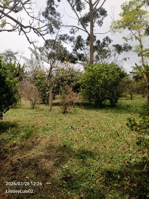 Lote en venta en San Miguel, Piedecuesta, 2632 m² · foto 8 de 9