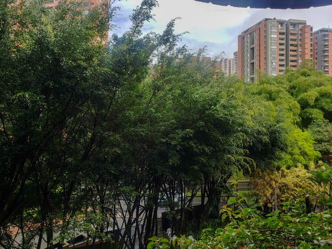 Apartamento de 3 alcobas en arriendo en El Poblado, Medellín, 255 m² · foto 19 de 20