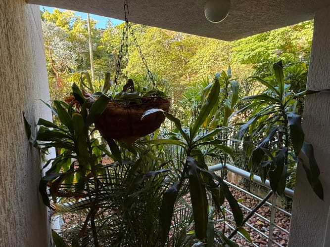 Apartamento de 2 alcobas en arriendo en Los Balsos, Medellín, 83 m² · foto 6 de 20