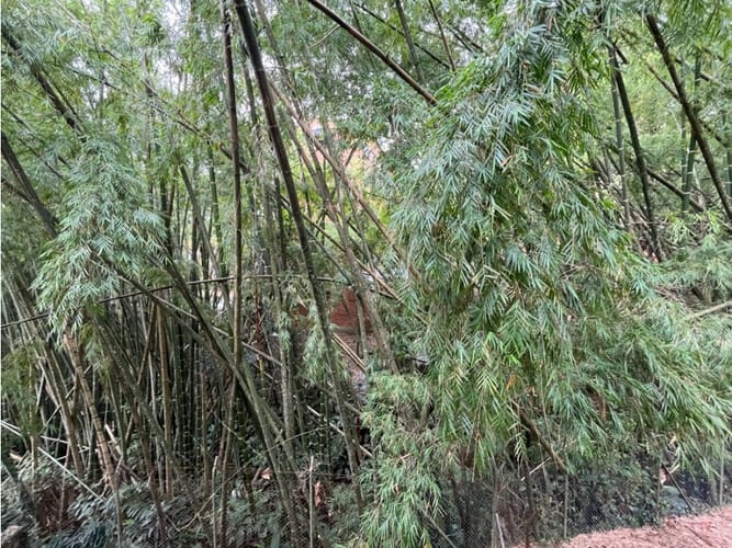 Casa de 3 alcobas en venta en La Frontera, Medellín, 280 m² · foto 20 de 24