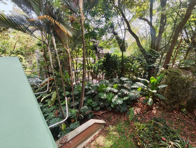 Apartamento de 3 alcobas en arriendo en El Poblado, Medellín, 234 m² · foto 17 de 18