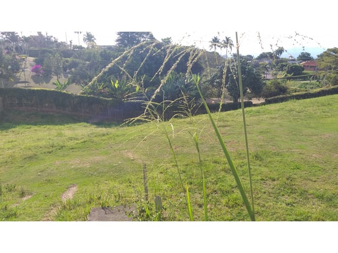 Lote en venta en Cerritos, Pereira, 3200 m² · foto 6 de 16