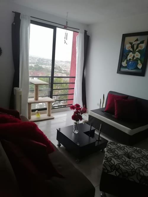 Apartamento de 2 alcobas en venta en Catalan, Pereira, 37 m² · foto 14 de 15