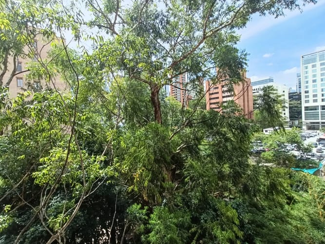 Apartamento de 2 alcobas en arriendo en Patio Bonito, Medellín, 82 m² · foto 8 de 20