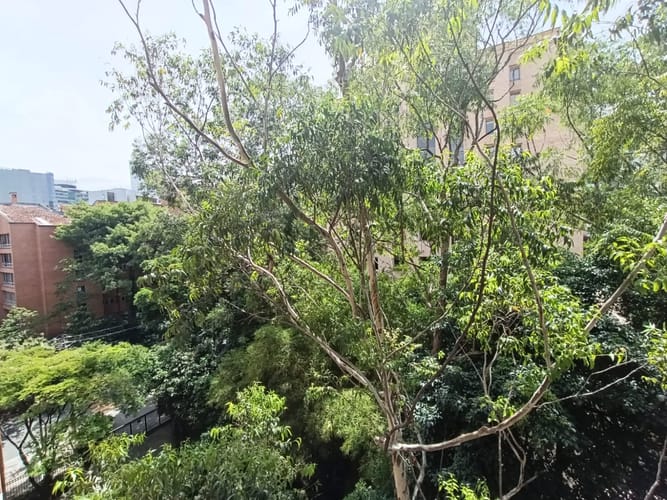 Apartamento de 2 alcobas en arriendo en Patio Bonito, Medellín, 82 m² · foto 9 de 20