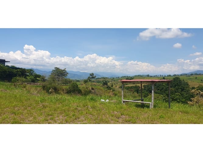Lote en venta en Cerritos, Pereira, 10007 m² · foto 3 de 8
