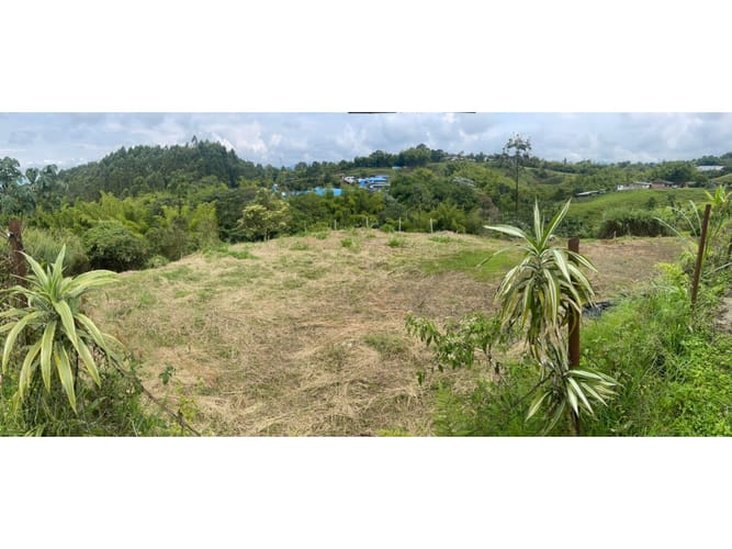 Lote en venta en Condina, Pereira, 1000 m² · foto 2 de 15