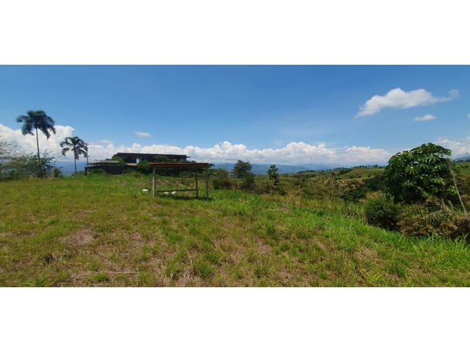Lote en venta en Cerritos, Pereira, 10007 m² · foto 4 de 8